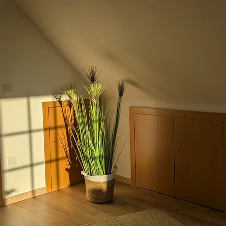 Luettje Huus Im Haus Muehlenblick - Brosig Apartment *